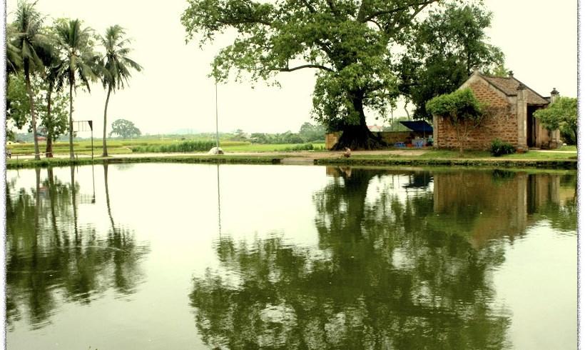 Hương làng (Bài đọc hiểu tiếng Việt lớp 5 - đề số 27) 